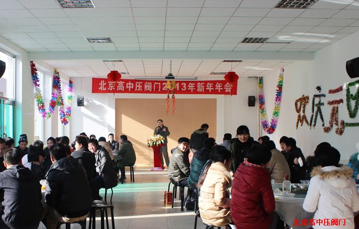 2013���������